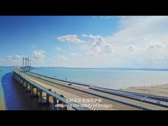 Sistema de detección de sobrepeso IP68 de peso en movimiento AC220V 50Hz