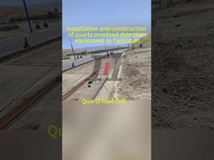 Origen Sistema de pesaje en movimiento Velocidad 0,5-105 km/h para un pesaje preciso